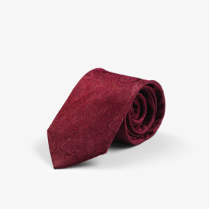 Giftbox Solid Paisley Tie